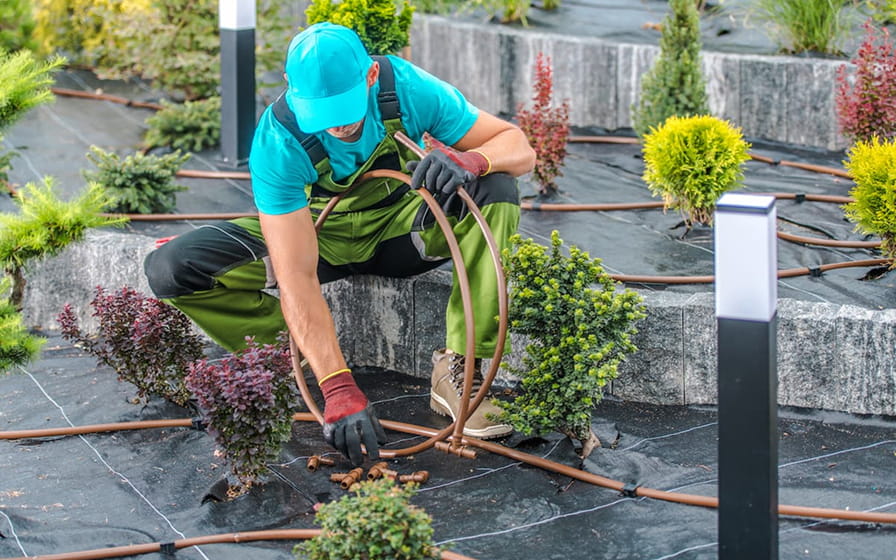 Drip irrigation in an efficient Hotel in Playa de Muro
