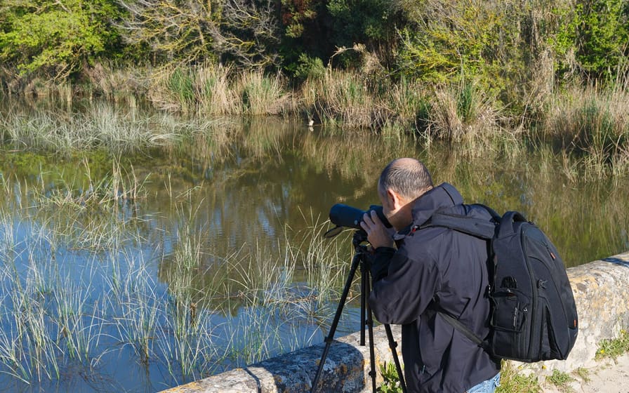Persona tomando fotos de la Albufera