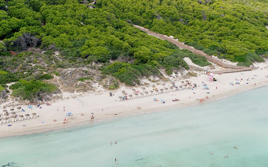 Vista aérea de la zona de Ses Casetes des Capellans