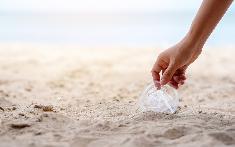 Limpieza de playas en Playa de Muro