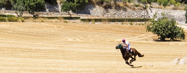 FERIAS Y FIESTAS DE JUNIO FERIAS Y FIESTAS DE JUNIO