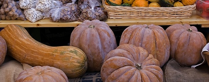 FERIAS Y FIESTAS DE NOVIEMBRE FERIAS Y FIESTAS DE NOVIEMBRE