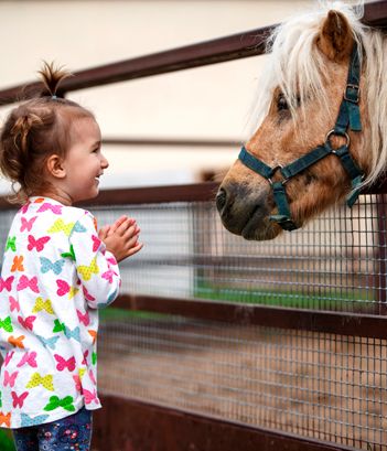 Ponylandia Ponylandia