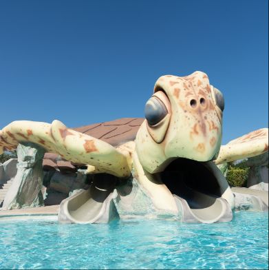 Experiencia familia Experiencia familia