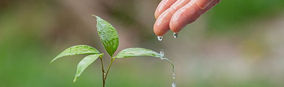 FORMACIÓN AMBIENTAL FORMACIÓN AMBIENTAL