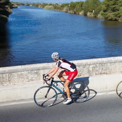 Ciclismo en Mallorca desde Playa de Muro