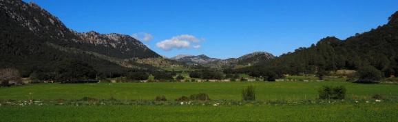 Ruta cicloturista 5 De Playa de Muro a Orient